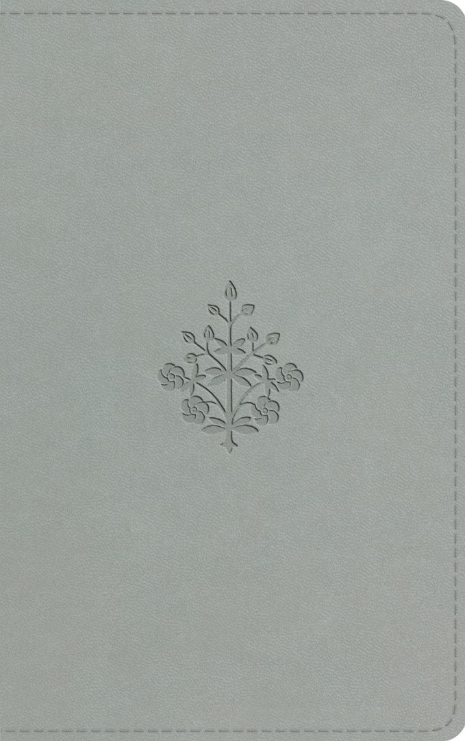 ESV Large Print Value Thinline Bible, River Stone - Re-vived