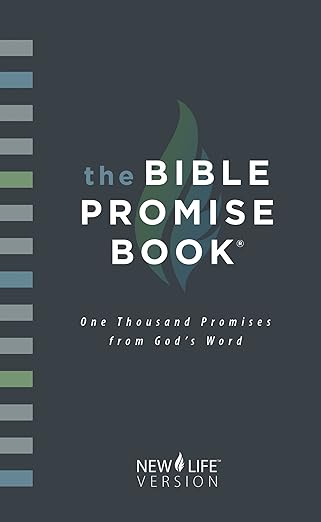 The Bible Promise Book - NIV