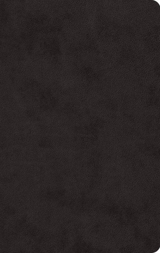 ESV Large Print Value Thinline Bible Trutone, Black - Re-vived