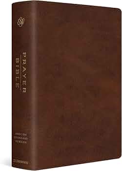 ESV Prayer Bible (TruTone, Brown)