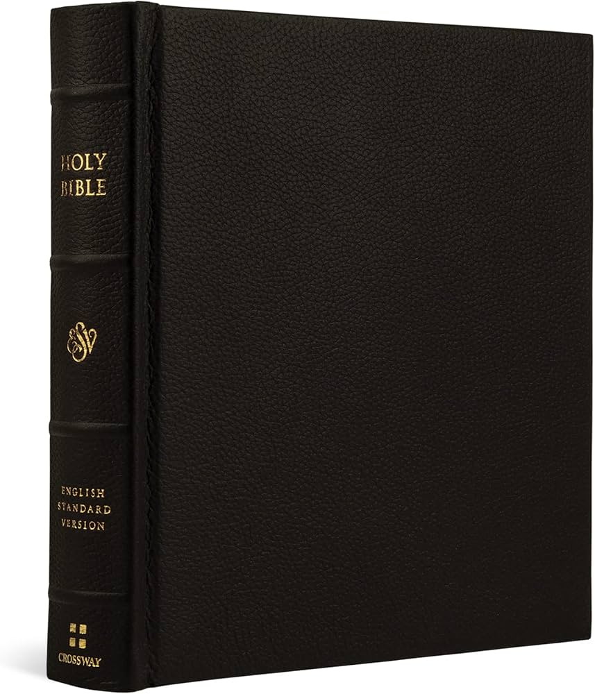 ESV Journaling Bible Buffalo Leather Over Board, Deep Brown