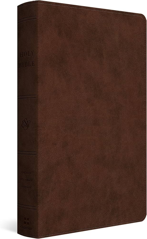 ESV Holy Bible: Dyslexia-Friendly Edition (TruTone, Brown)