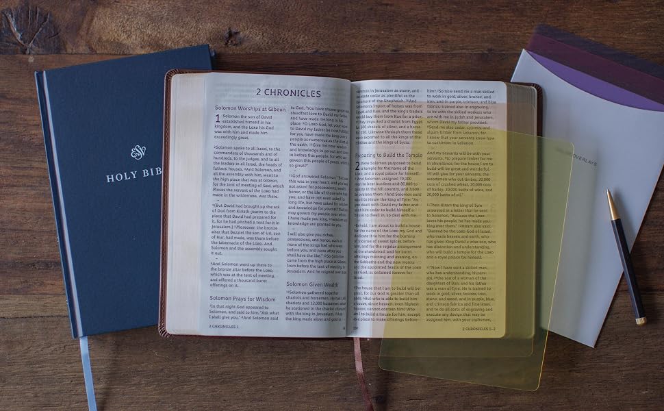ESV Holy Bible: Dyslexia-Friendly Edition (TruTone, Brown)