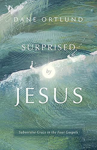 Surprised by Jesus - Re-vived